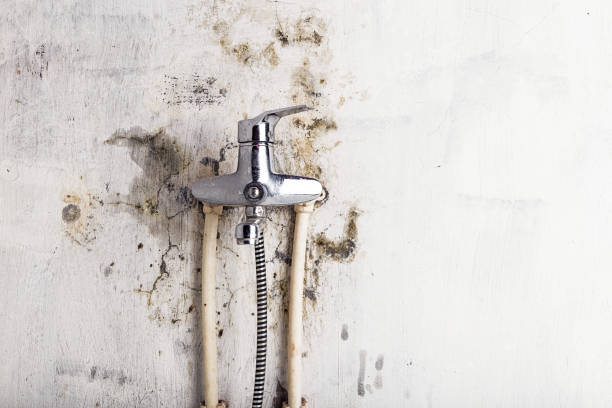 Best Best Mold Removal Companies  in Hurricane, UT
