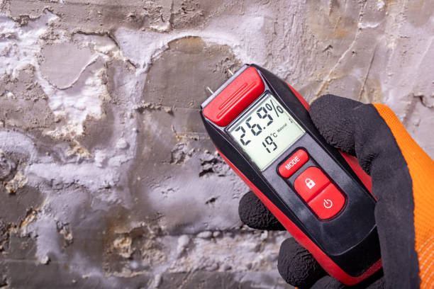 Best Home Mold Removal  in Hurricane, UT