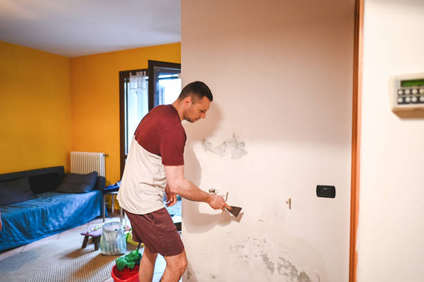 Best Toxic Mold Removal  in Hurricane, UT
